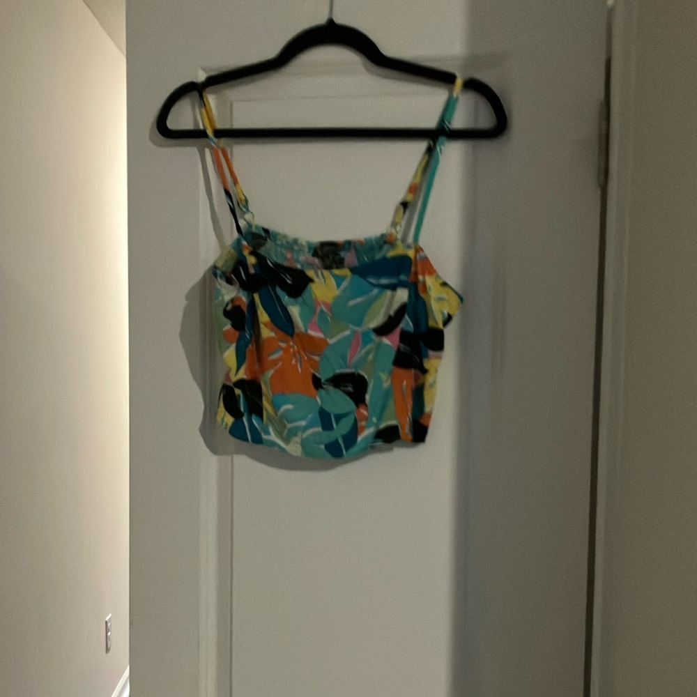 Lily Rose Blue and Orange Fitted Crop Camisole